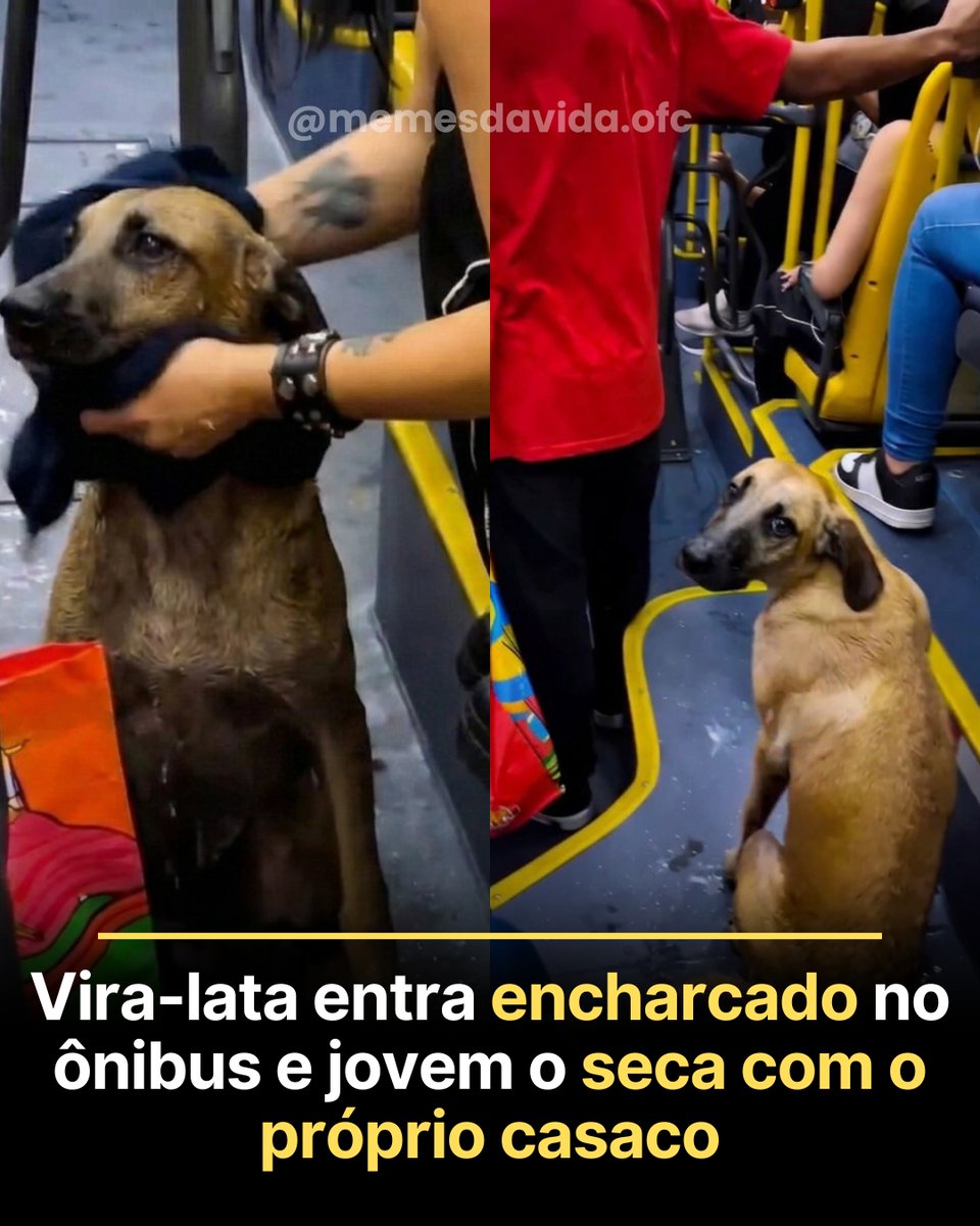 Eles não sabem pedir socorro! 😢

E ele encontrou um Homem de caráter e valor, por ter ajudado um animal ❤️🙏