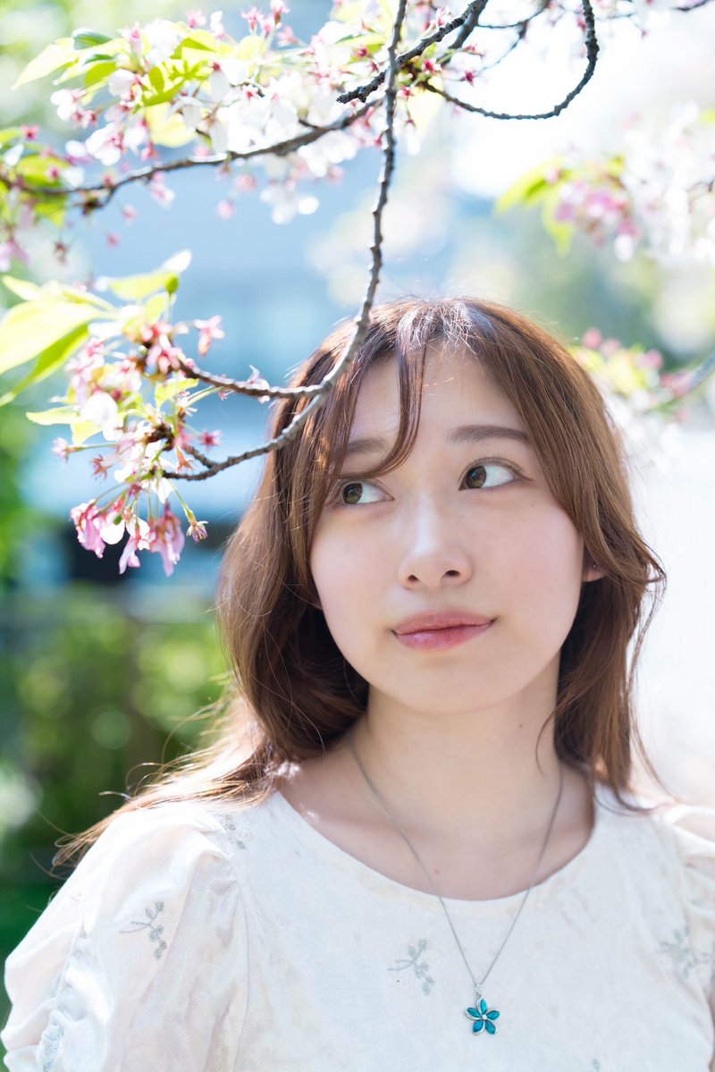 USJ Photo Web管理人 tweet media