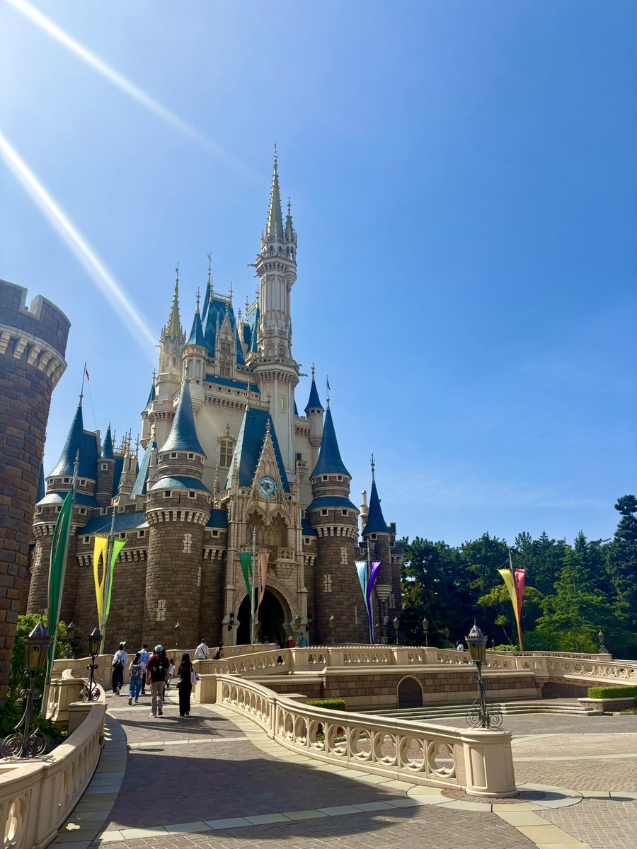 Falarica✈️ tweet media