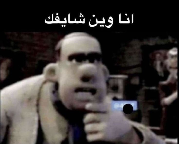 MR7 tweet media
