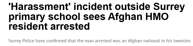 Katie Lam tweet media