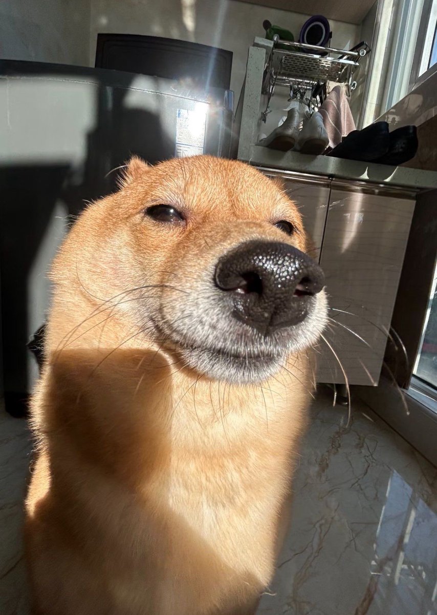 Max | Mythos tweet media