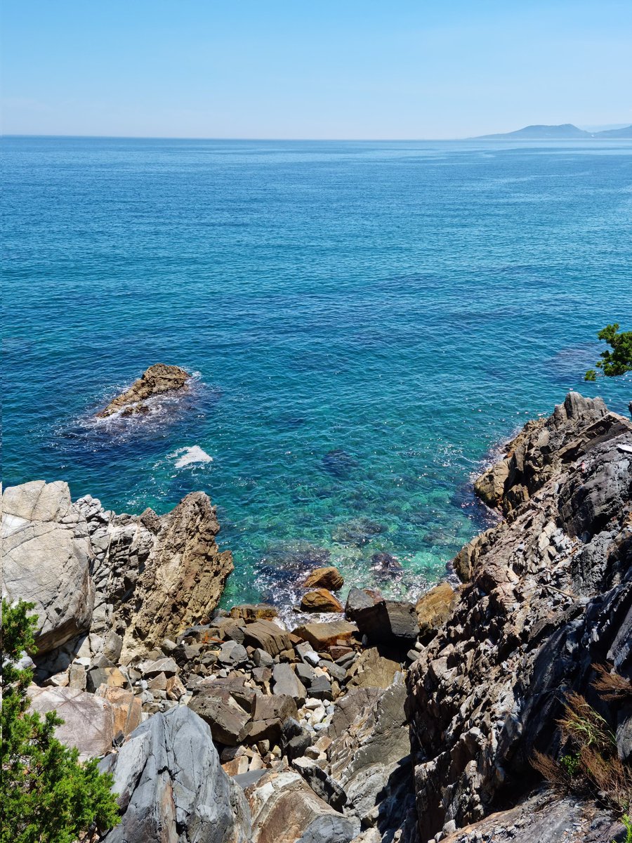 🎪🐙고동🐙 tweet media