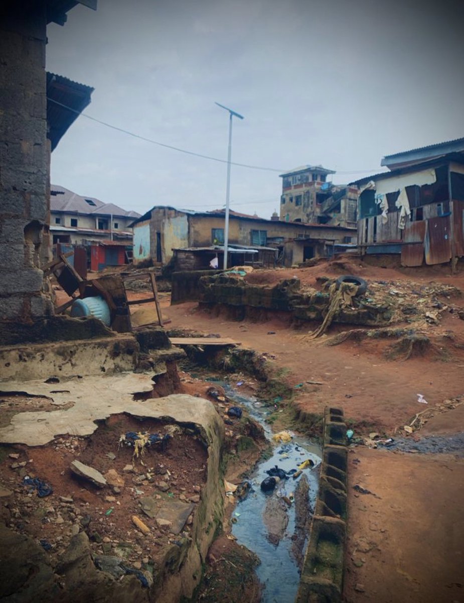 willinill! tweet media