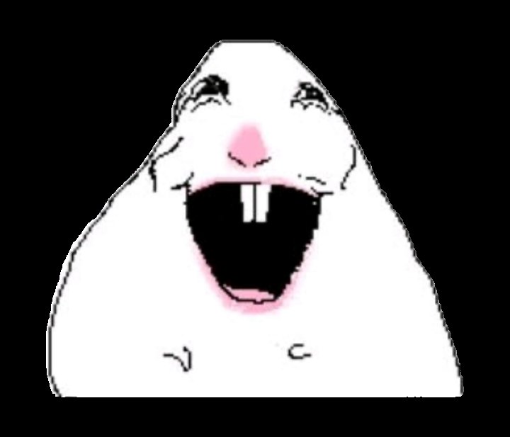 Mello 🌸 tweet media