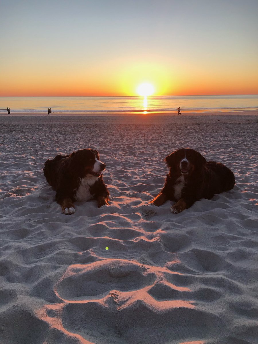 PriaAmy's tweet image. Sonnenuntergang können sie auf #sylt