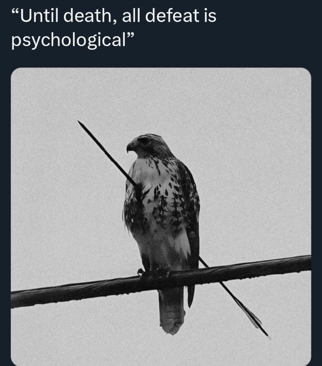 MrBanks💰 tweet media