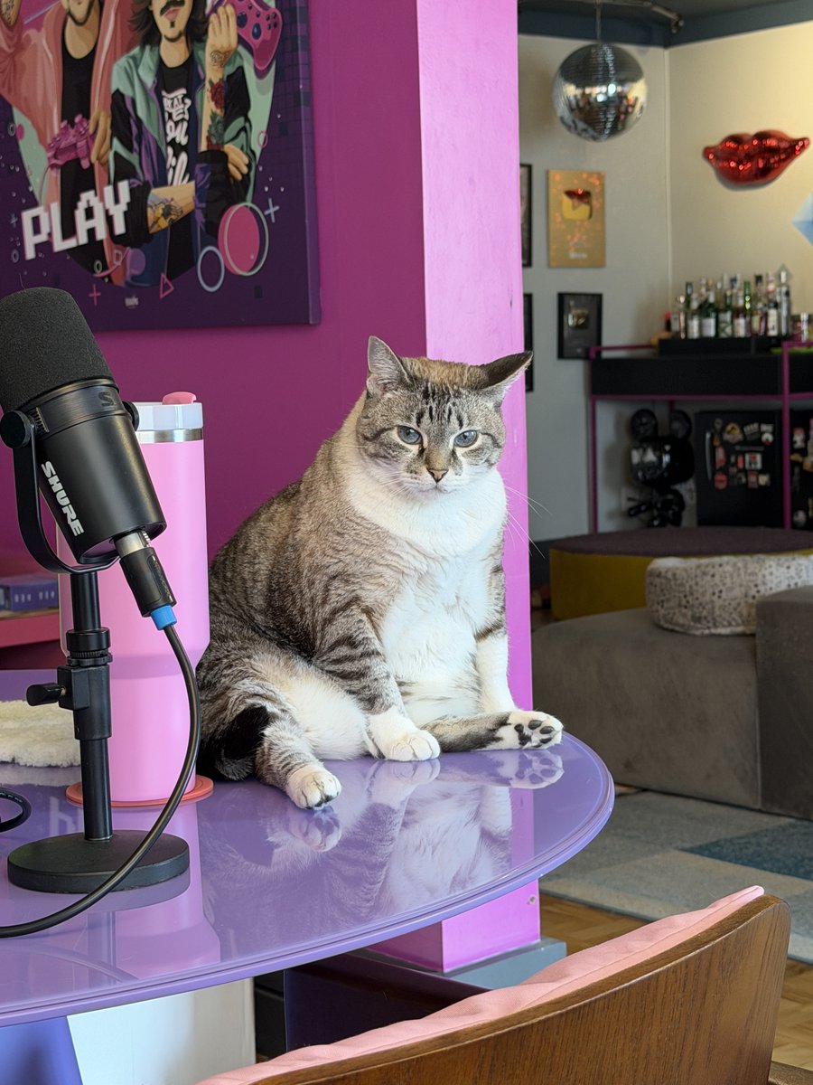 No #DivãDaDiva dessa semana vamos falar da nossa e da sua paixão por GATOS! Vc é gateira? Tem quantos gatos? Conta pra gente TUDO sobre eles, vale história engraçada, emocionante, divertida... TUDO que envolve esse universo FELINO que a gente TANTO AMA <3
Moira ilsutrando o post