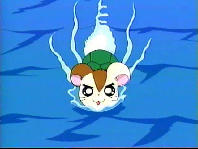 Nise_Hamtaro's tweet photo. Spotlight ham of the weekend: Seamore

He always wears a turtle shell on his back. Though hamsters should never get wet, he can swim. Barrette develops a crush on him in both the anime and "Ham-Ham Heartbreak"

I like his asymmetric fur https://t.co/Hojhw1Z5TG