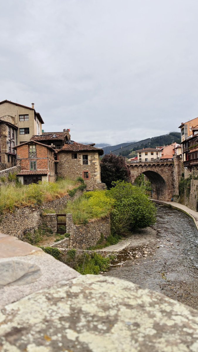 🍄Selodris 🍁 tweet media