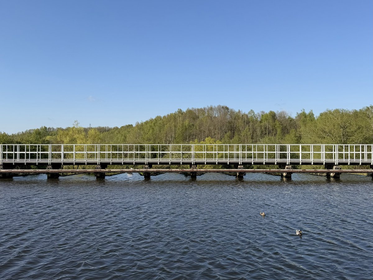 rly cool girl tweet media