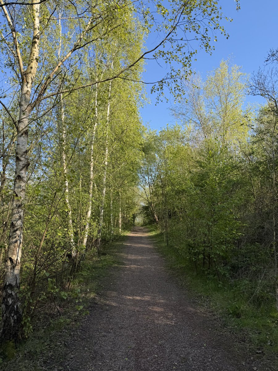 rly cool girl tweet media