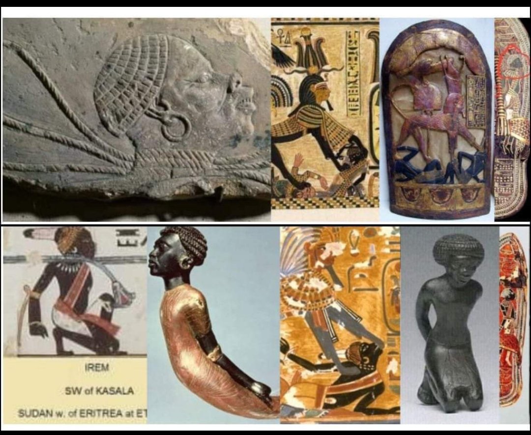 𝐫𝐞𝐧𝐝𝐚 ᓀ‸ᓂ tweet media