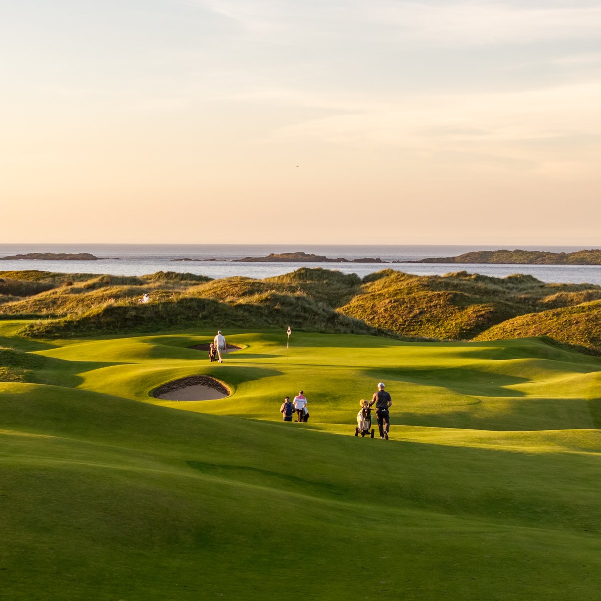 Royal Portrush Golf Club tweet media