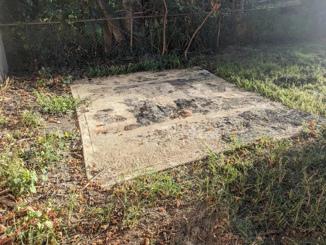 AwakenedOutlaw⚒️ tweet media