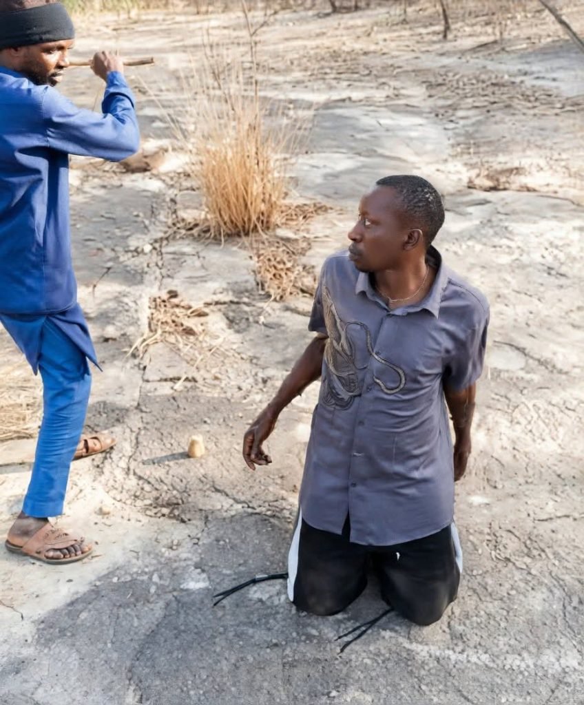 Daily Post Nigeria tweet media