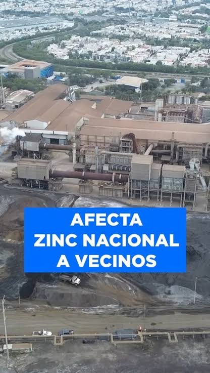 LilianaFloresBenavid tweet media