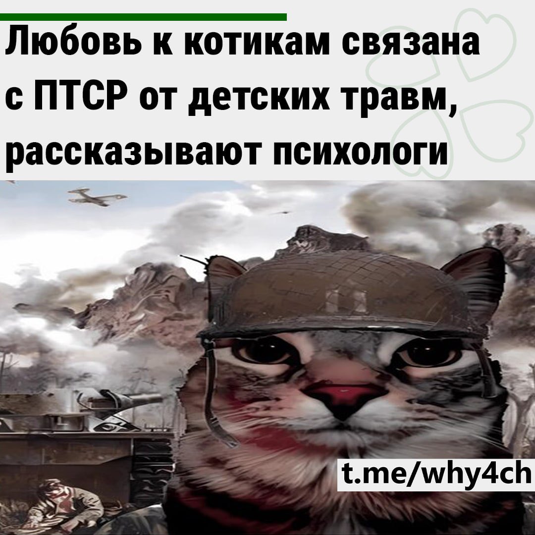 кто бы мог подумать