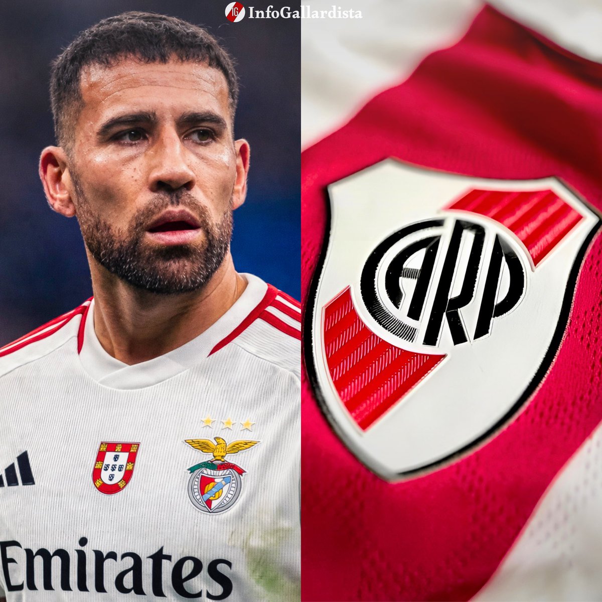 Info Gallardista tweet media