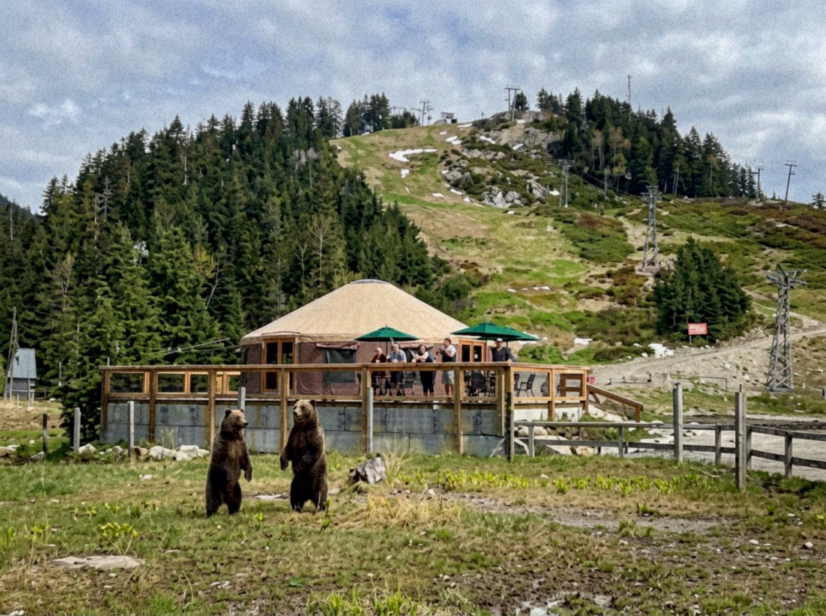 julie_katze(✸,✸) 🤟🇭🇰 🇹🇼 🇮🇱 tweet media