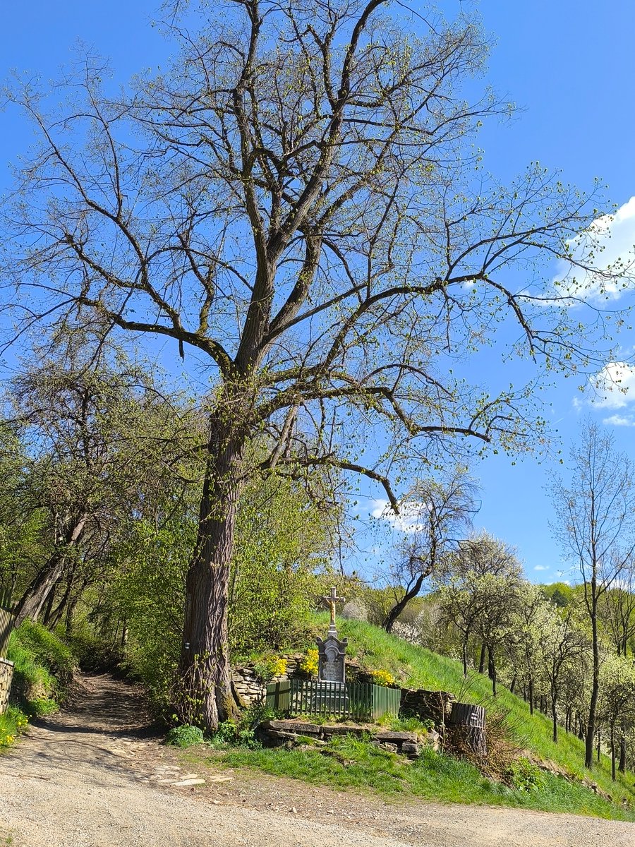 vratkoslun's tweet photo. kolem puebla Borač https://t.co/8z6zWA8VGg