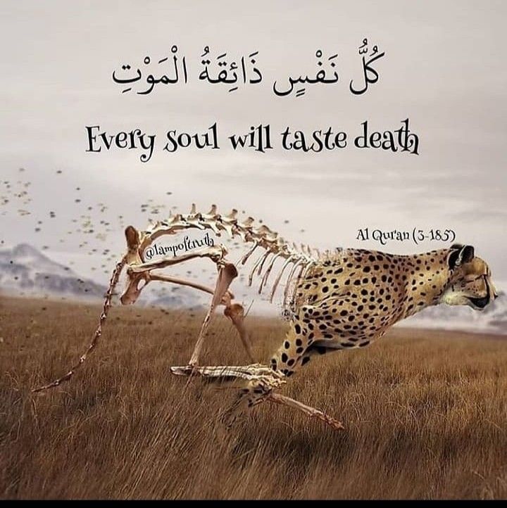 reposts, it will help you❤🕊️