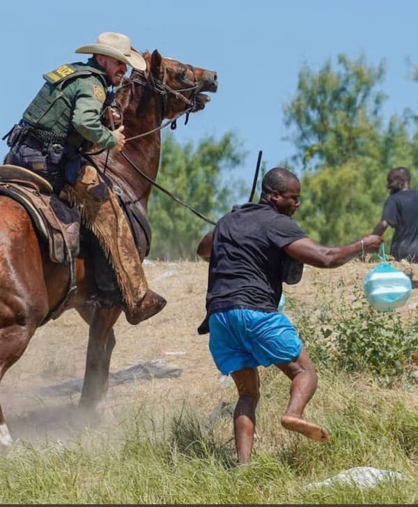 Francisco D Lion tweet media