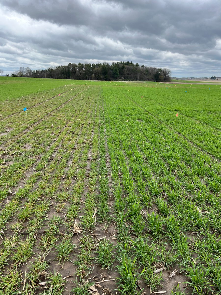 Science for Success tweet media