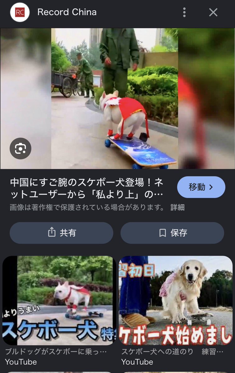 しろザウルス tweet media