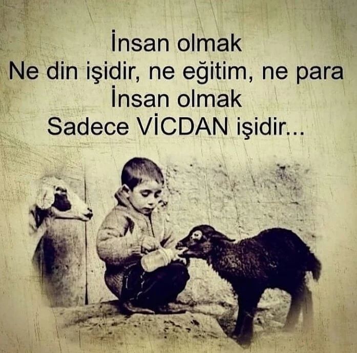 Himmet Ya Hû tweet media