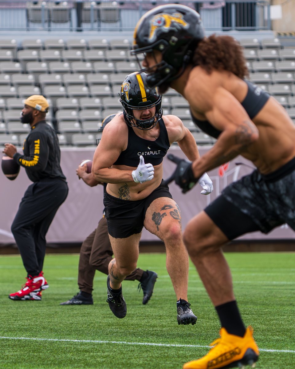 Hamilton Tiger-Cats tweet media