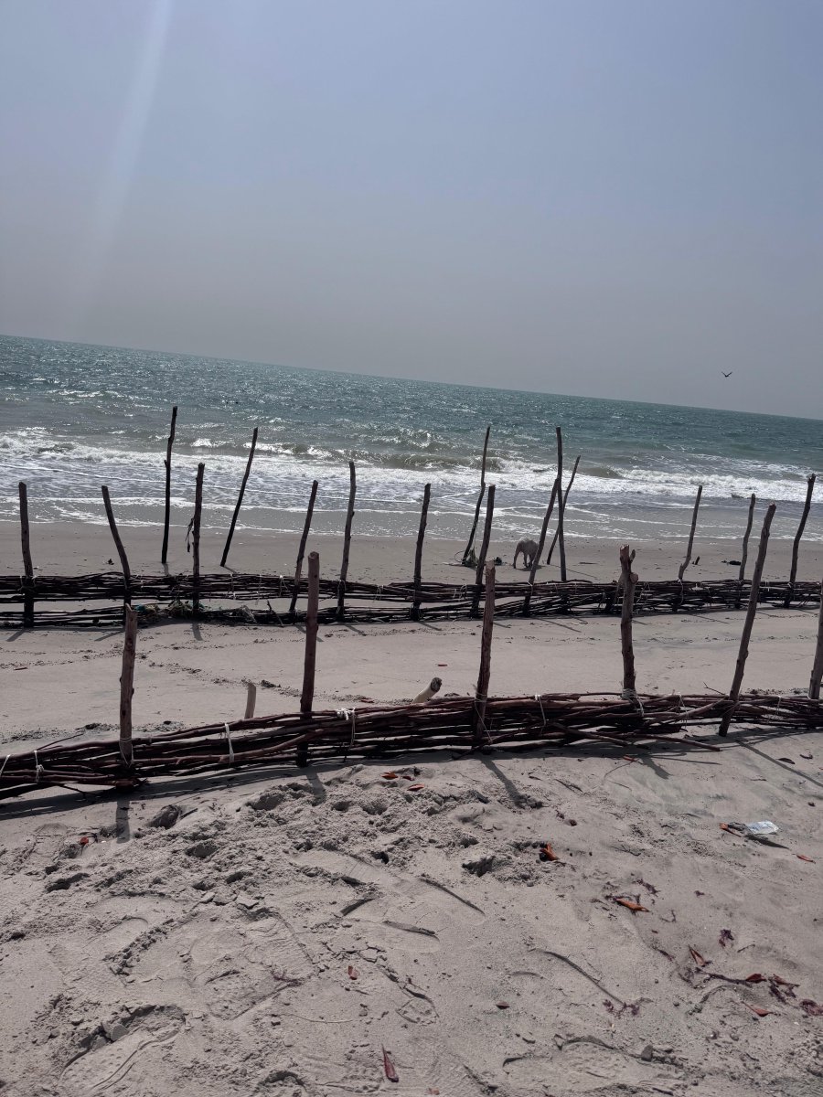 AmbCanSenegal's tweet photo. Le financement climatique en action au Sine Saloum. La sous-ministre adjointe pour l’Afrique @Cheryl_Urban a rencontré les femmes du projet Natur’Elles (@Socodevi) : protection côtière, économie durable, solutions locales. #CanadaauSénégal @DevCanada https://t.co/KQxSjW4H42