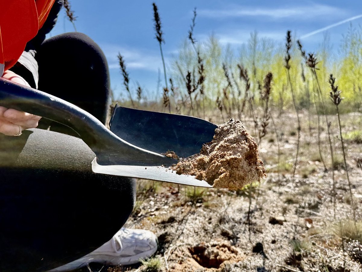 UNUNexus's tweet photo. On Int’l Mother Earth Day, we launch our 2026 Lusatia field season—exploring post-mining restoration &amp; practical solutions for a more sustainable planet through science &amp; collaboration

https://t.co/WEass1vFzm https://t.co/9d9cIP7sQd