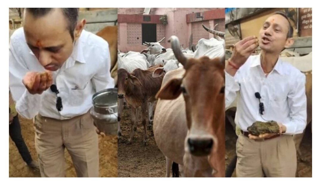 Dios De La Guerra ⚔🛡 tweet media