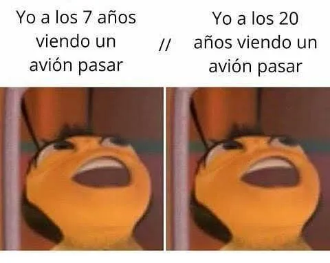Rincón Curioso tweet media