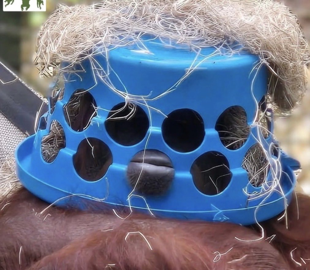 a mysterious rōnin has come seeking the bounty on my head