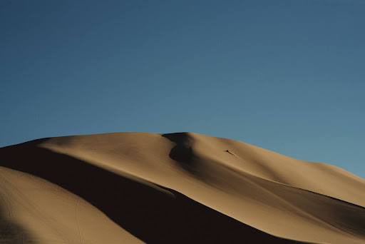 Visit Fallon tweet media