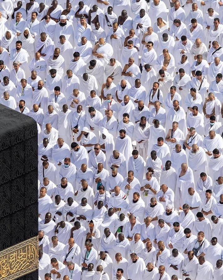 MuslimMatters tweet media