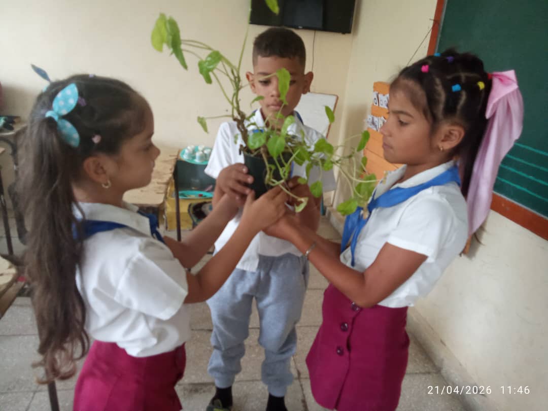 Sembrando con Arte es el espacio cultural disfrutado por los educandos,desde la institución educativa Luis de Feria Garayalde. A través de las artes se motiva el amor hacia la naturaleza. Su instructora Yaniuri los guía en cada encuentro.
#RaícesQueForjanHistoria
#21AñosBjm