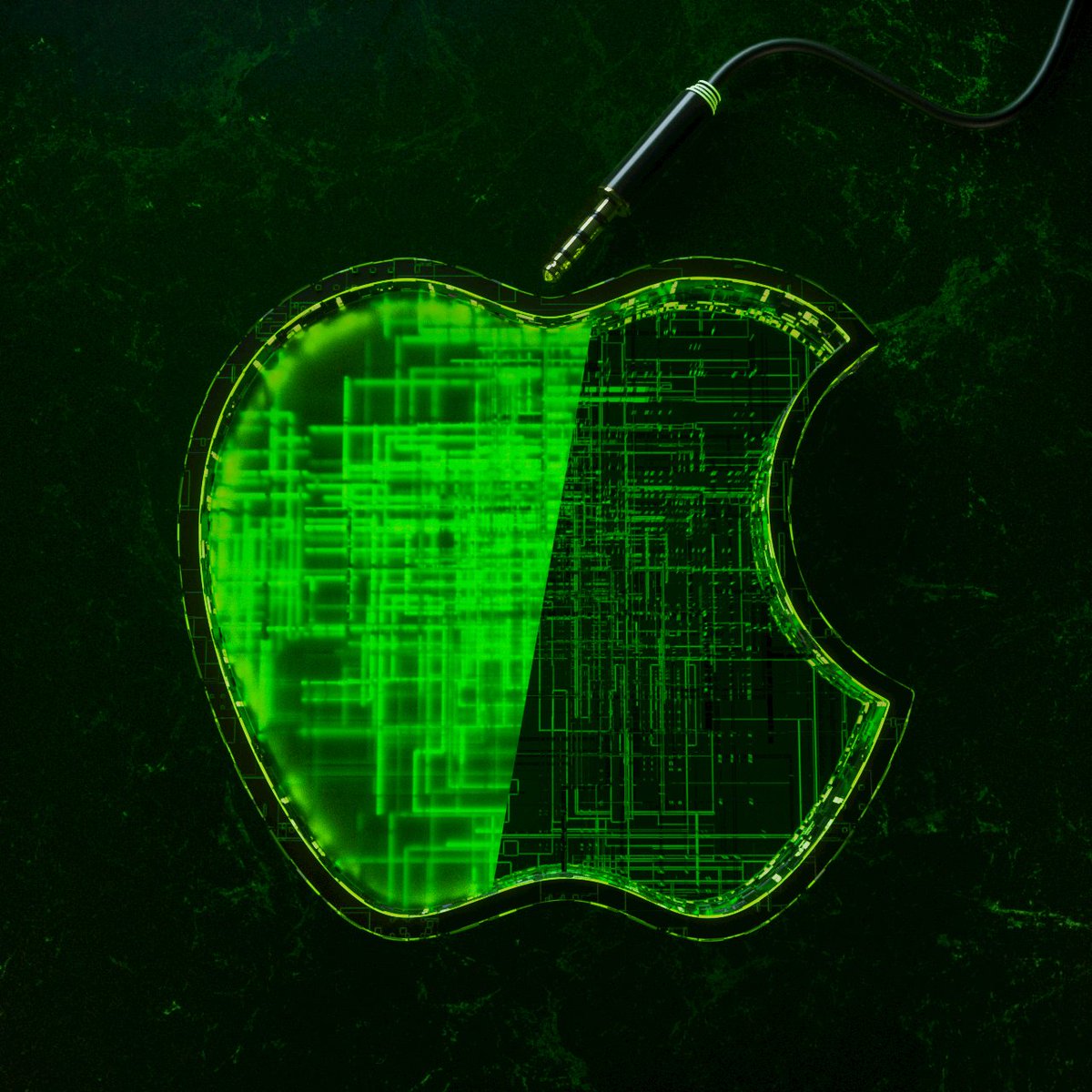 amr neana tweet media