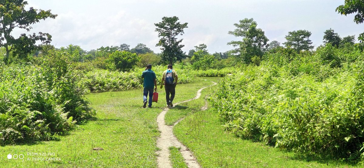 amritashya's tweet image. A few more moments captured using K20 Pro. Hope you like them, friends. Have a good night. 📸✨🌙 #Moments #Friends #Night #K20pro #MI