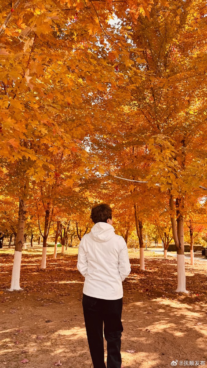 Victoria tweet media