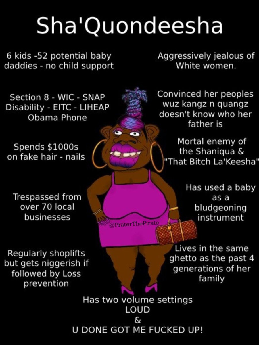 Trump Train 24/7/365 tweet media