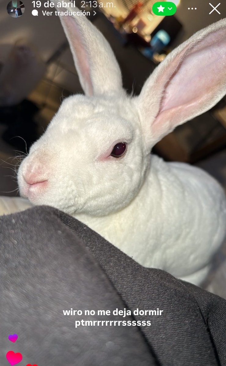 Pochocloooo tweet media