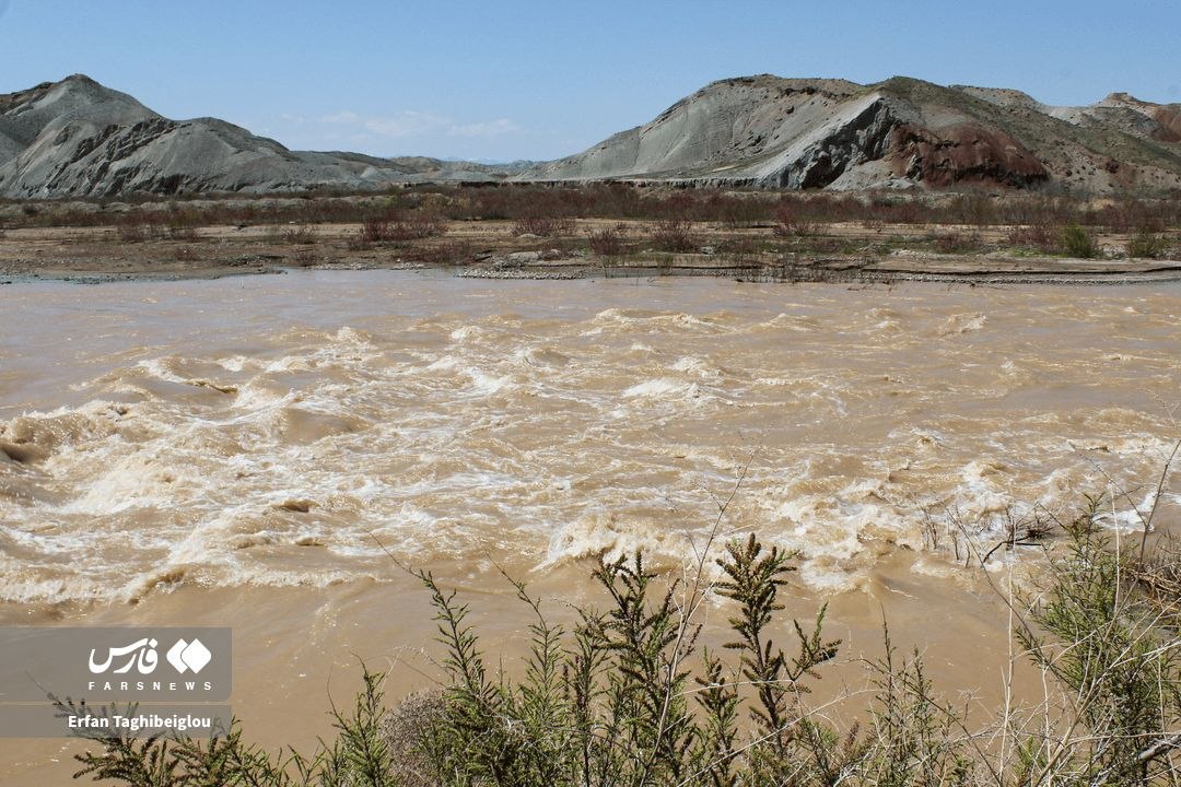 AHMAD SLMAN tweet media