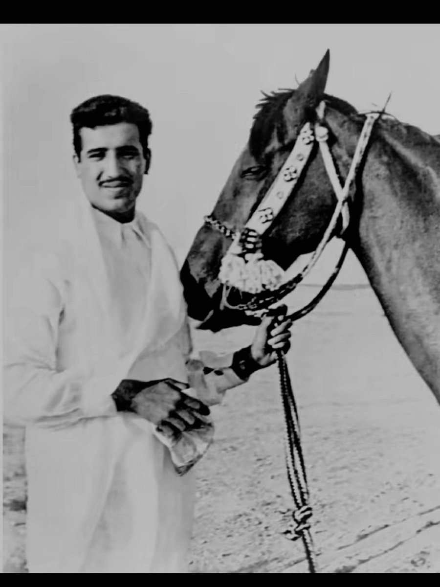 أَبْلَق. tweet media