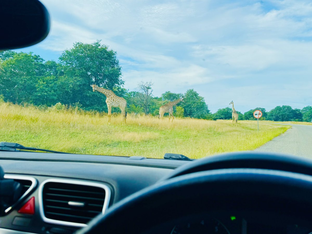 Echoes_BW's tweet image. Road to Echoes Of the Wild - Kasane Weekender #kasane #echoesofthewild #botswana #musicandsafari