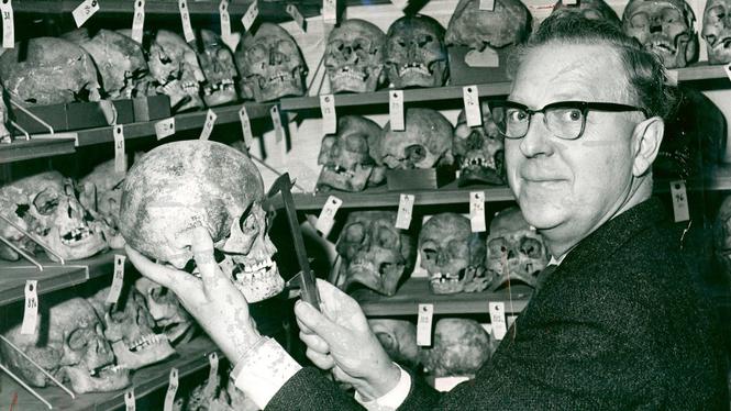 Inverse Paranoid tweet media