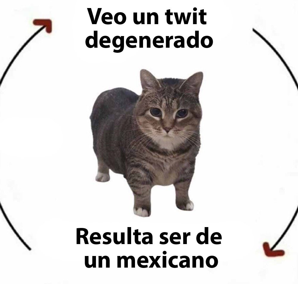 🇦🇷 ALE tweet media