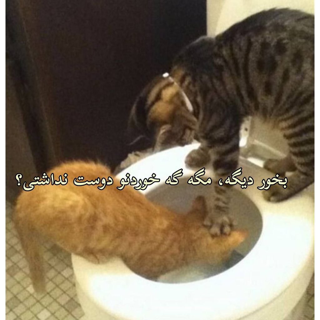 Cherry blossom 🇸🇪🇮🇷 tweet media